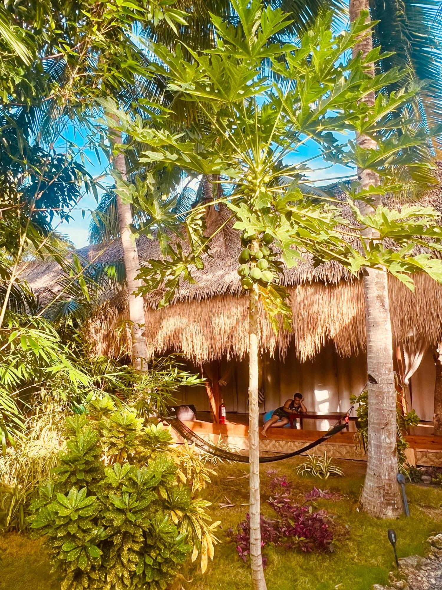 Nautilus Hostel & Hammocks Panglao Kültér fotó
